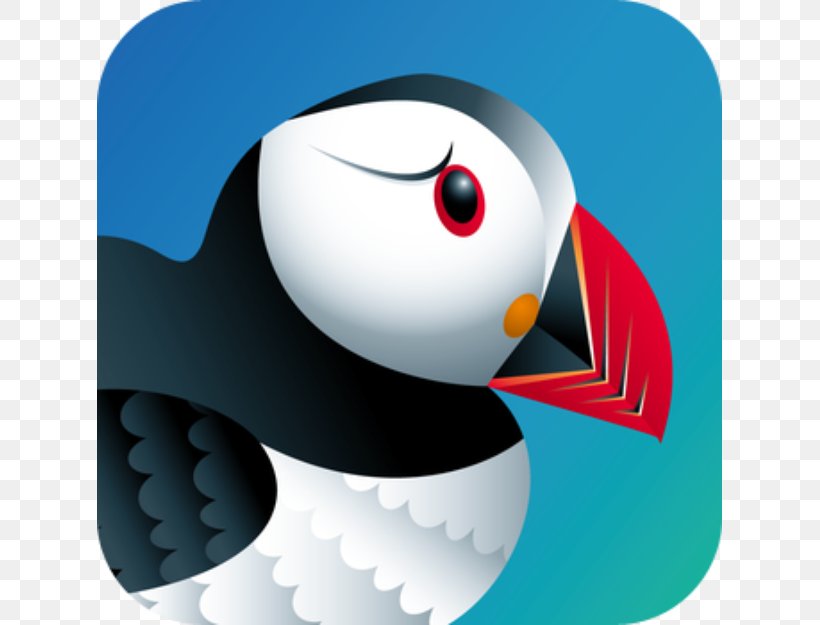 Puffin Browser for Windows